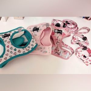 Korriko harnesses, leash, collars